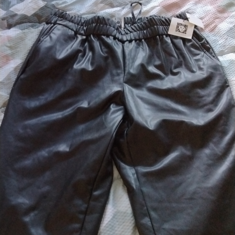 These are designer Ann Klein leather pants (black)